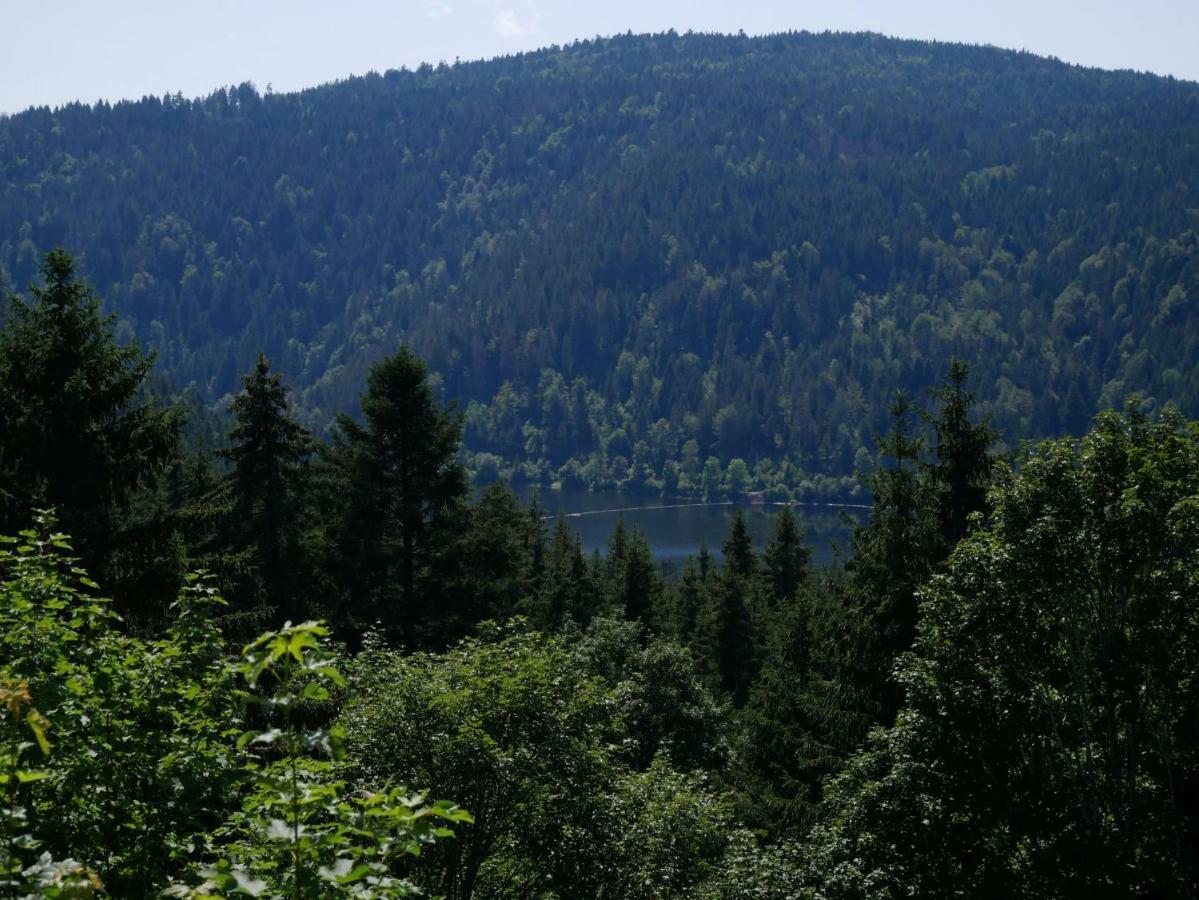 Haus Vita Ferien- Und Seminarhaus Urberg Extérieur photo